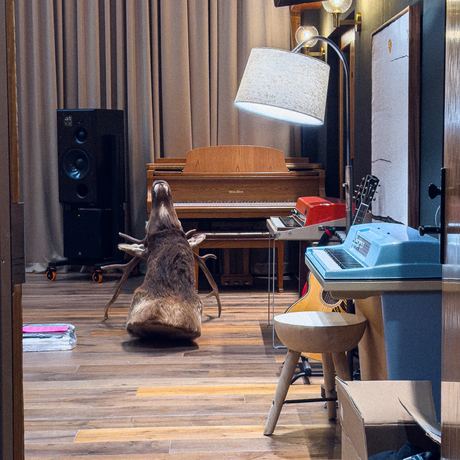 Live Room Wood Floor